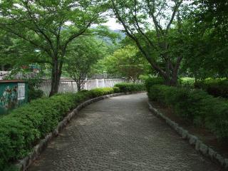 龍門渕公園の遊歩道
