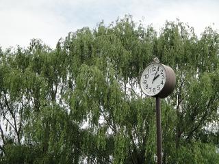 緑ヶ丘公園の時計