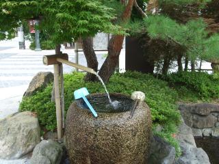 辰巳の庭公園　湧き水