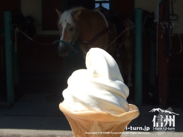 馬にソフトクリーム