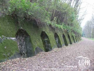 旧国鉄篠ノ井線廃線敷　コケの生えた側壁