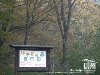 旧国鉄篠ノ井線廃線敷　けやきの森自然園