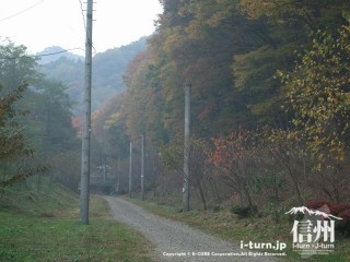 旧国鉄篠ノ井線廃線敷　けやきの森前の廃線敷き