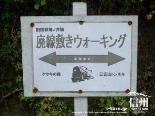 旧国鉄篠ノ井線廃線敷　ケヤキの森―三五山トンネル