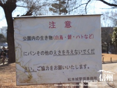 松本城公園の注意書き