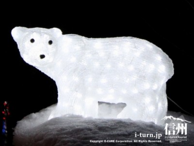 白クマのイルミネーション