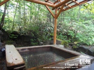 完全に森の中にある風呂です