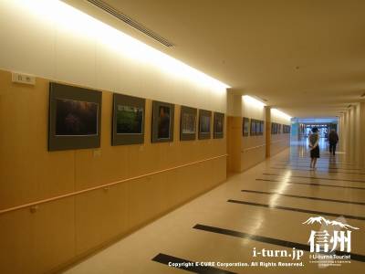 長野市民病院の廊下がギャラリーになっている