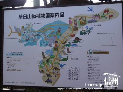茶臼山動植物園の案内図