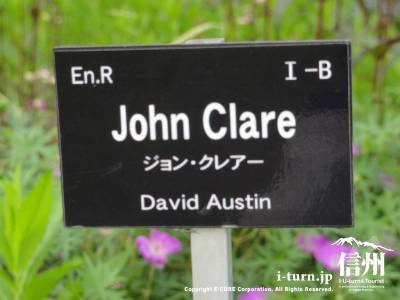 John Clare（ジョン・クレアー）