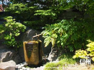 日本庭園の水