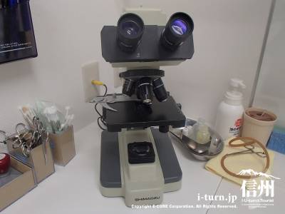 顕微鏡4