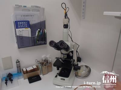 顕微鏡5