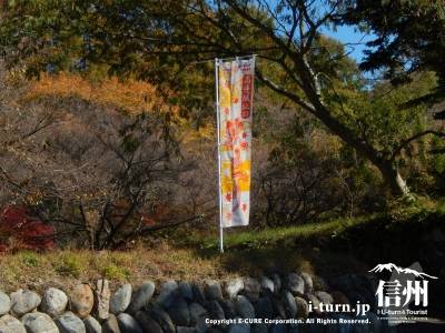 秋祭りののぼり旗が立てられています