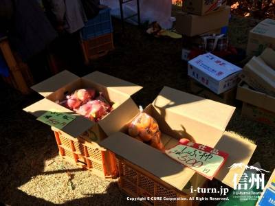 テントの中では柿やリンゴなどの特産品が売られています