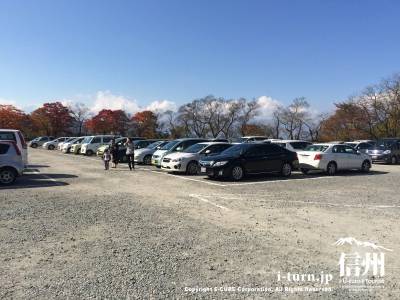 秋まつり中ということもあり駐車場には沢山の車
