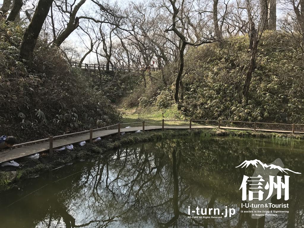 高遠城の堀にある池 桜咲く前の真っ昼間のあの池 伊那市高遠 長野県の情報 E Cure